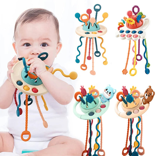 Montessori Baby Sensory & Teething Toy