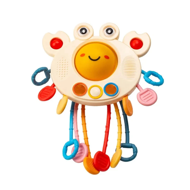 Montessori Baby Sensory & Teething Toy